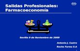 Salidas Profesionales: Farmacoeconomía Sevilla 9 de Noviembre de 2009. Antonio J. Castro Roche Farma S.A.