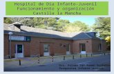 Hospital de Día Infanto-Juvenil Funcionamiento y organización Castilla la Mancha Dra. Paloma San Román Villalón Psiquiatra Infanto-Juvenil.