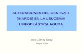 ALTERACIONES DEL GEN IKZF1 (IKAROS) EN LA LEUCEMIA LINFOBLÁSTICA AGUDA Inés Gómez Seguí Mayo 2010.