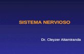 SISTEMA NERVIOSO Dr. Cleyzer Altamiranda. NERVIOS CRANEALES Se originan.