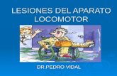 LESIONES DEL APARATO LOCOMOTOR DR.PEDRO VIDAL. EL APARATO LOCOMOTOR formado por Huesos y cartílagosArticulacionesMúsculos se agrupan en Se clasifican.