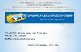 NOMBRE: Elmer Villarroel Andrade MATERIA: Cirugía TEMA: Apendicitis Aguda COCHABAMBA - BOLIVIA.