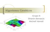 Algoritmos Genéticos Grupo 6 Sharón Benasús Michell Vanrell.