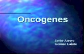 Oncogenes Javier Arroyo Germán Laissle. Oncogenes n Definición: genes causantes del cáncer, derivan de proto-oncogenes, genes celulares que promueven.