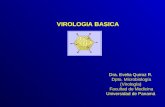 VIROLOGIA BASICA Dra. Evelia Quiroz R. Dpto. Microbiología (Virología) Facultad de Medicina Universidad de Panamá.