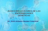 BASES MOLECULARES DE LAS ENFERMEDADES GENÉTICAS Dr. José Antonio Nastasi Catanese.