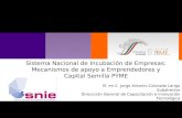Sistema Nacional de Incubación de Empresas: Mecanismos de apoyo a Emprendedores y Capital Semilla PYME M. en C. Jorge Antonio Colorado Lango Subdirector.