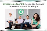 Directorio de la APDR: Asociación Peruana de Prevencionsitas de Riesgos.
