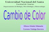 Universidad Nacional del Santa Facultad de Ciencias Departamento de Biología, Microbiología y Biotecnología Eliana Zelada Mázmela Carmen Yzásiga Barrera.