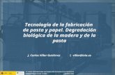 Tecnología de la fabricación de pasta y papel. Degradación biológica de la madera y de la pasta J. Carlos Villar Gutiérrez  villar@inia.es.