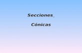 Secciones Cónicas. SE LLAMAN SECCIONES CÓNICAS PORQUE PROVIENEN DE LA INTERSECCIÓN DE UN CONO CON UN PLANO.
