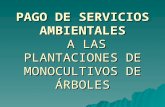 PAGO DE SERVICIOS AMBIENTALES A LAS PLANTACIONES DE MONOCULTIVOS DE ÁRBOLES.