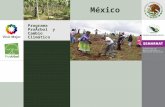 Programa ProÁrbol y Cambio Climático México. CONTENIDO Presentación Categorías y Áreas de Impacto Etapas del ProÁrbol Presupuesto 2007 Principales Metas.