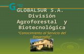 GLOBALSUR S.A. División Agroforestal y Biotecnológica “Conocimiento al Servicio del Desarrollo” G lobal Sur.