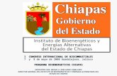 I CONGRESO INTERNACIONAL DE BIOCOMBUSTIBLES 7 y 8 de mayo de 2008 Guadalajara, Jalisco PROGRAMA BIOENERGETICOS CHIAPAS EXPOSITOR: ING. RAFAEL A. ARELLANES.