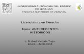 UNIVERSIDAD AUTÓNOMA DEL ESTADO DE HIDALGO ESCUELA SUPERIOR DE ZIMAPÁN Licenciatura en Derecho Tema: ANTECEDENTES HISTORICOS L. D. Anel Victoria Trejo.