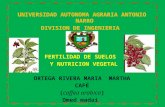 UNIVERSIDAD AUTONOMA AGRARIA ANTONIO NARRO DIVISION DE INGENIERIA FERTILIDAD DE SUELOS Y NUTRICION VEGETAL ORTEGA RIVERA MARIA MARTHA CAFÉ (coffea arabica)