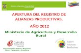 Presentacion Apertura Registro 2012 Vs_ Final Ccv Meta (1)