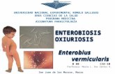 ENTEROBIOSIS, OXIUROSIS (1)