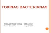 Toxinas Bacteriana