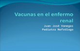 Juan José Vanegas Pediatra Nefrólogo. ERC y vacunas 20 a 30 % de los niños no tienen completo su esquema de vacunación previo al trasplante Indispensable.