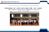 1 PROGRAMA DE AUTO-DECLARACIÓN ISO 14001 PARA EMPRESAS CONTRATISTAS AMBIENTALES CRÍTICAS 13 de Junio de 2007 XVIII Exposición Latinoamericana del Petróleo.