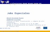 FP62004Infrastructures6-SSA-026409  E-infrastructure shared between Europe and Latin America Jobs Especiales Moisés Hernández Duarte UNAM.