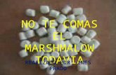 NO TE COMAS EL MARSHMALLOW.pptx
