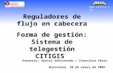 Www.arelsa.com Reguladores de flujo en cabecera Forma de gestión: Sistema de telegestión CITIGIS Ponentes: Daniel Urbiztondo / Francisco Pérez Barcelona,