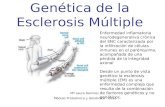 Genética de la Esclerosis Múltiple Mª Laura Ramírez Módulo Proteómica y Genómica - 2012 Enfermedad inflamatoria neurodegenerativa crónica del SNC caracterizada.