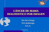 Sº Radiología CHA1 CÁNCER DE MAMA DIAGNOSTICO POR IMAGEN Dra M.A.Ortega FEA-RadiologíaH.G.A.
