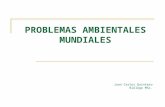 PROBLEMAS AMBIENTALES MUNDIALES Juan Carlos Quintero Biólogo MSc.
