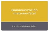 Isoinmunización materno-fetal Por: Lizbeth Cabrera Suárez.