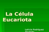 La Célula Eucariota La Célula Eucariota Leticia Rodríguez Alcolado.