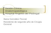 Sesión Clínica Anatomopatológica Hospital Ángeles del Pedregal Iliana González Pezzat Residente de segundo año de Cirugía General.