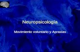 Neuropsicología Movimiento voluntario y Apraxias.