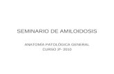 SEMINARIO DE AMILOIDOSIS ANATOMÍA PATOLÓGICA GENERAL CURSO 3º- 2010.