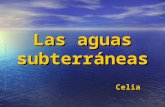 Las aguas subterráneas Celia. AGUAS SUBTERRÁNEASAGUAS SUPERFICIALES Reservas Representan sobre la superficie de la Tierra más del 97%. Representan sobre.