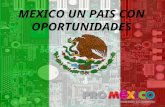 MEXICO UN PAIS CON OPORTUNIDADES. 2 Millones de km2 de extensión territorial 4500 kilómetros de fronteras 11000 km de litorales 32 Estados, Distrito Federal.