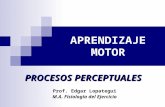 APRENDIZAJE MOTOR Prof. Edgar Lopategui M.A. Fisiología del Ejercicio PROCESOS PERCEPTUALES.