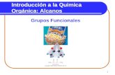 1 Introducción a la Quimica Orgánica: Alcanos Grupos Funcionales.