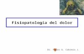 Fisiopatología del dolor Dr. Pedro G. Cabrera J..