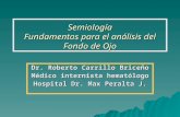 Semiología Fundamentos para el análisis del Fondo de Ojo Dr. Roberto Carrillo Briceño Médico internista hematólogo Hospital Dr. Max Peralta J.