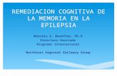 REMEDIACION COGNITIVA DE LA MEMORIA EN LA EPILEPSIA Marcela A. Bonafina, Ph.D Directora Asociada Programa Internacional Northeast Regional Epilepsy Group.