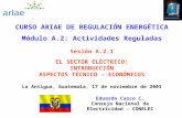 CURSO ARIAE DE REGULACIÓN ENERGÉTICA Módulo A.2: Actividades Reguladas Sesión A.2.1 EL SECTOR ELÉCTRICO: INTRODUCCIÓN ASPECTOS TÉCNICO - ECONÓMICOS La.