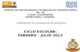 Anteproyecto Materias Feb-jul 2013