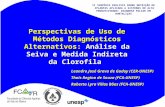 1 Perspectivas de Uso de Métodos Diagnósticos Alternativos: Análise da Seiva e Medida Indireta da Clorofila Leandro José Grava de Godoy (CER-UNESP) Thais.