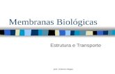 Prof. Antonio Dégas Membranas Biológicas Estrutura e Transporte.