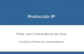 Protocolo IP Profa. Ana Cristina Benso da Silva Disciplina: Redes de Computadores.