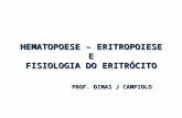 HEMATOPOESE – ERITROPOIESE E FISIOLOGIA DO ERITRÓCITO PROF. DIMAS J CAMPIOLO.